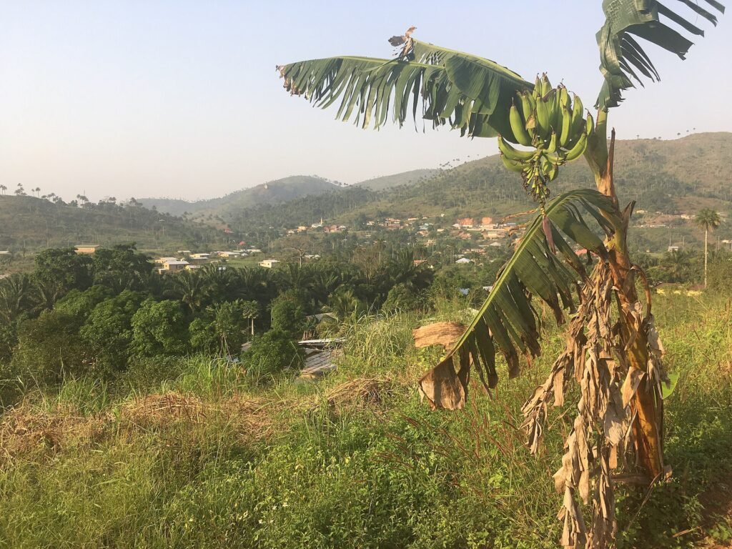 Paysage de la Guinée forestière près de Macenta